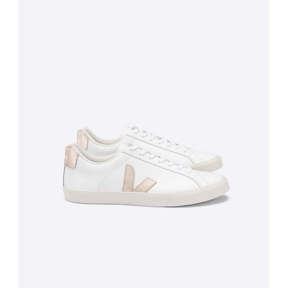 Veja ESPLAR LEATHER Tenisky Damske White/Brown | SK 606TCE